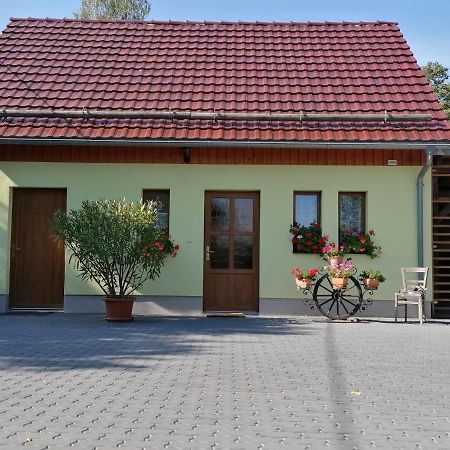 Schaffrath'S - Ferienhaus Гонштайн Екстер'єр фото